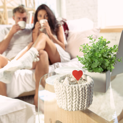 Erotismo y Feng Shui: La Energía del Deseo en el Hogar